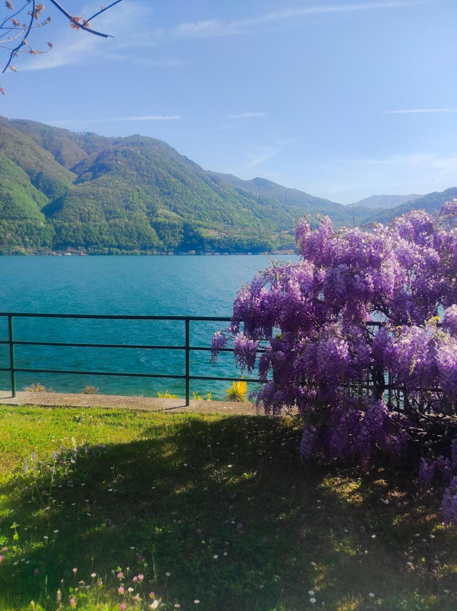 Lfsuite Luganolake Terrazza Spiaggia Privata Parking Wi-Fi Netflix Porlezza Eksteriør bilde